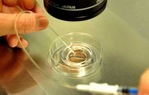 如何辨别供卵机构可靠性？四招助你完美避坑，选择优质助孕中心